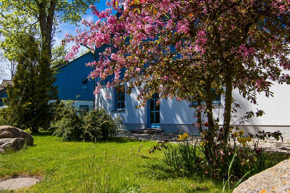 Ferienanlage Kap Arkona - App 7 Putgarten Exteriör bild